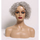 Wear To Go Salt And Pepper Wig For Older Women Loose Curly Bob Siver Gray Human Hair Glueless WigFor Senior