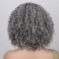 Silver Gray Jerry Curly V-Part Glueless Wigs Real Human Hair Salt and Pepper Short Bob For Women Over 50